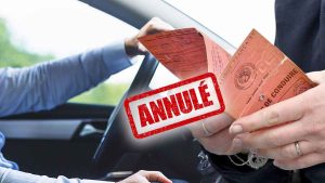 Permis annulé et 1 500 € d'amende : cet objet dans votre voiture peut tout gâcher !