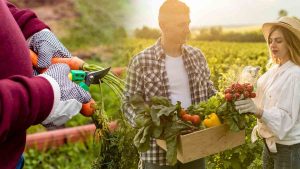 Plantez ces légumes dès maintenant pour épater vos proches avec une récolte printanière à l’avance!
