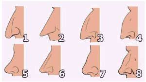 Test de personnalité : que révèle la forme de votre nez ?