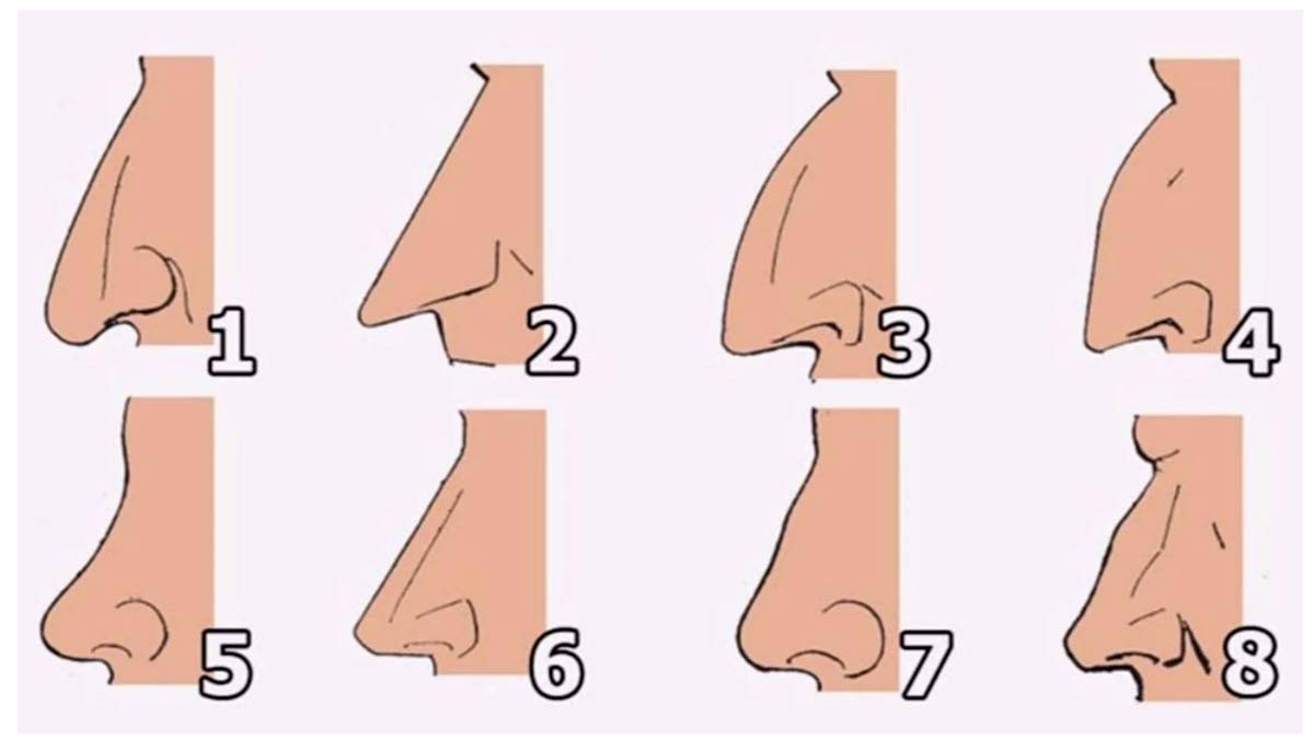 Test de personnalité : que révèle la forme de votre nez ?