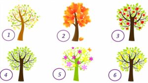 Test psychologique : choisissez votre arbre pour découvrir quelques traits insoupçonnés de votre personnalité !