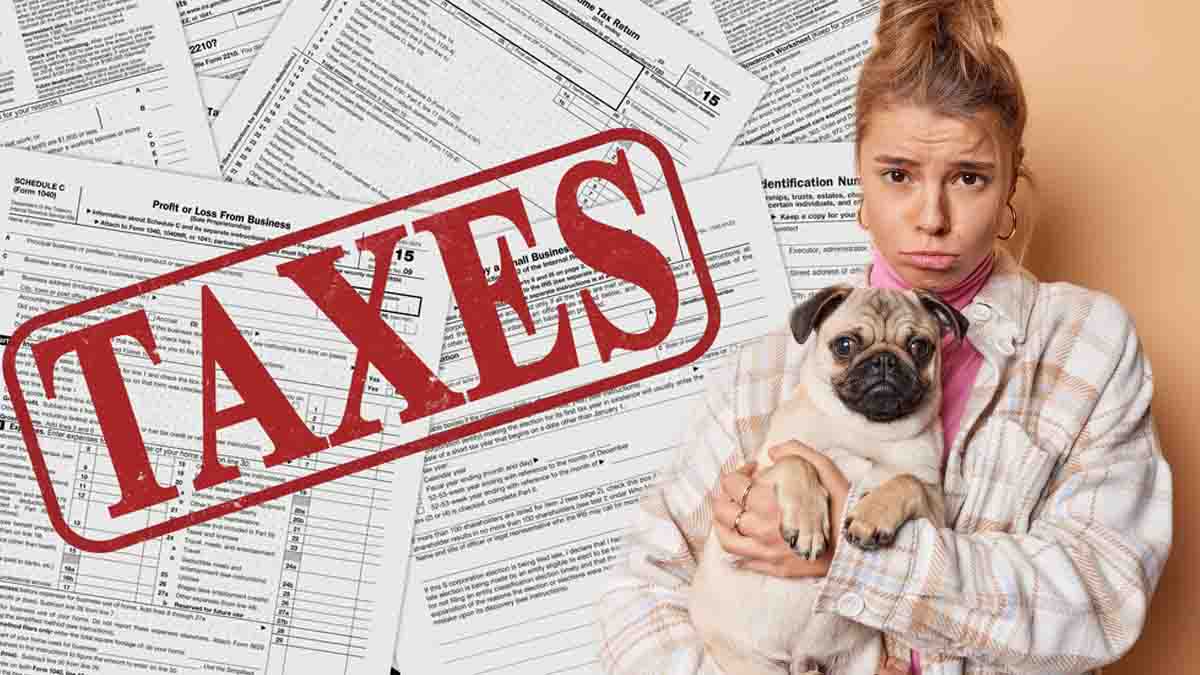 Nouvelle taxe 2025 sur les animaux de compagnie : 100€ pour un chien, 80€ pour un chat et déjà des discussions...