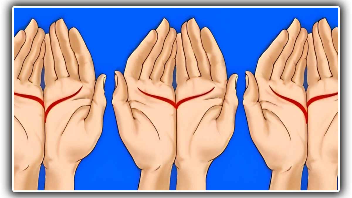 Test de personnalité : ces lignes sur votre main révèlent que vous êtes plus responsable que la moyenne !