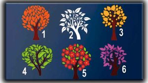 Test de personnalité : choisissez un arbre pour connaître l’impression que vous laissez aux autres !