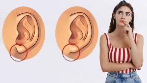 Test de personnalité : saviez-vous que la forme de votre lobe d'oreille en dit long sur votre créativité et votre côté aventureux ?