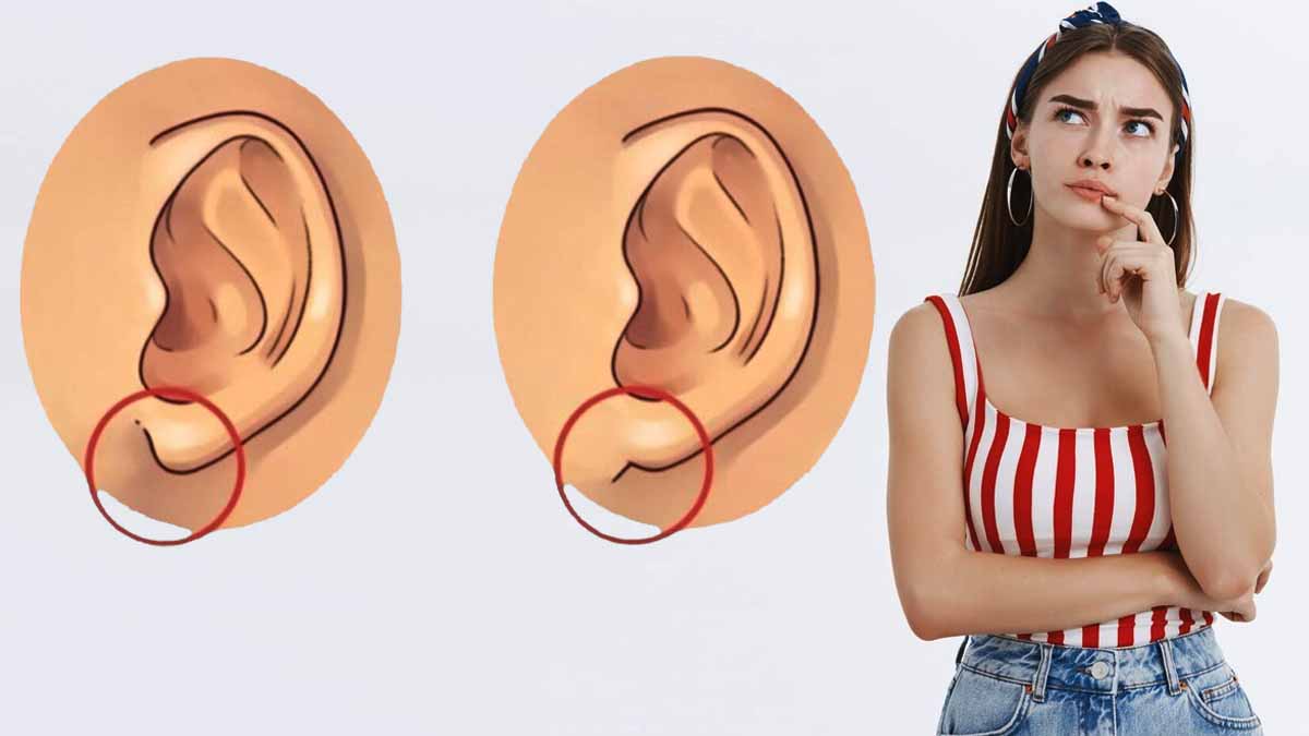 Test de personnalité : saviez-vous que la forme de votre lobe d'oreille en dit long sur votre créativité et votre côté aventureux ?