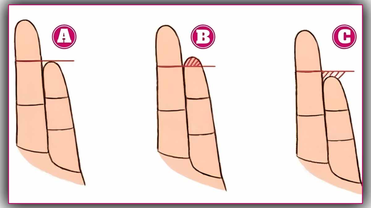Votre annulaire peut en dire long sur vous : est-ce que vous êtes plus masculin que la moyenne ?