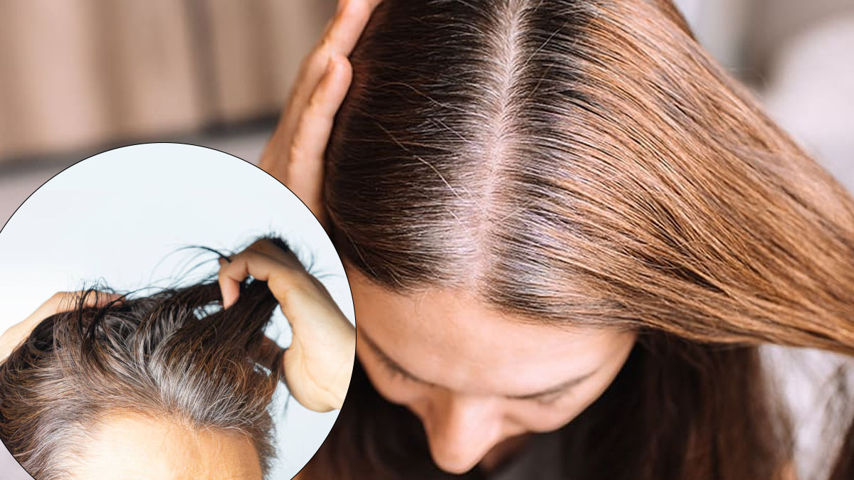 3 balayages stylés pour masquer les cheveux gris et rester tendance en 2025 !