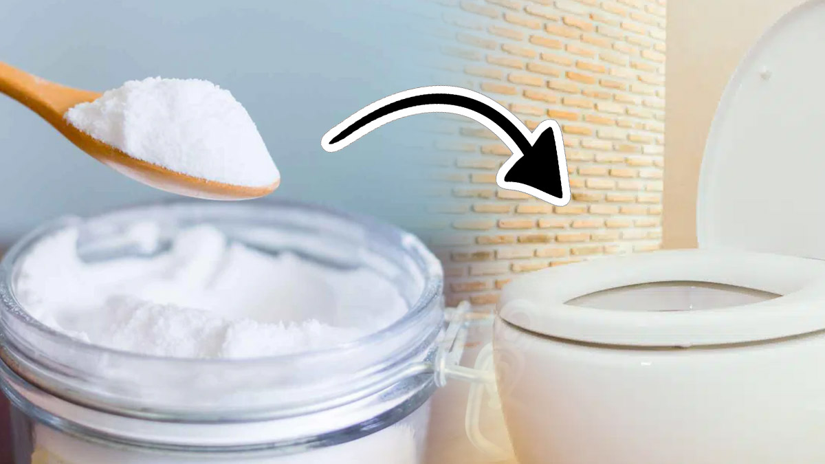 Bicarbonate de soude dans les toilettes : la solution miracle pour dire adieu à un problème commun !