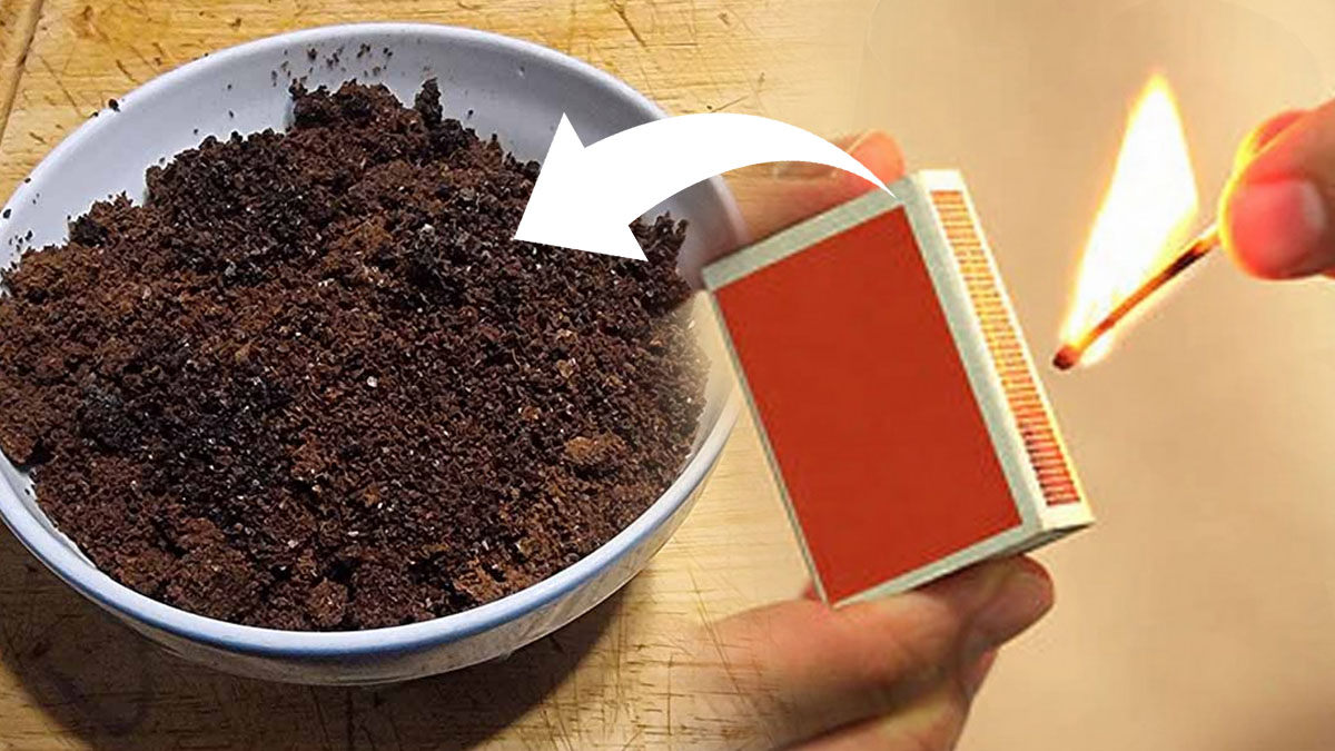 Brûler du marc de café à la maison : une astuce surprenante aux effets inattendus !
