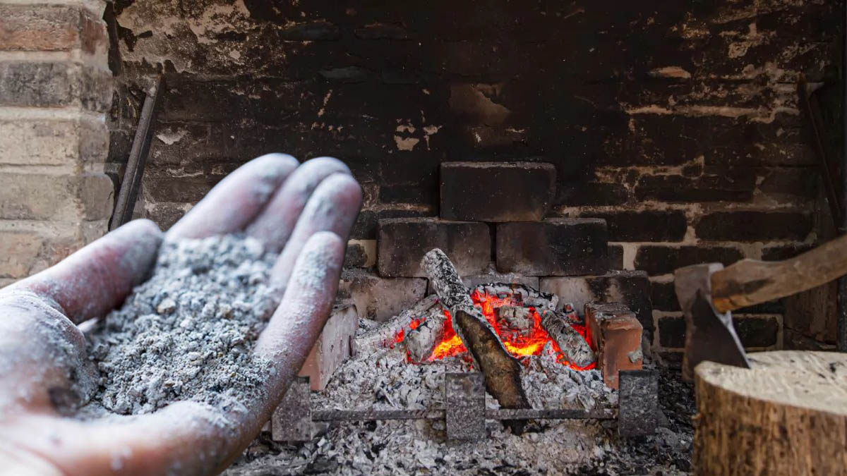 Cendres de cheminée : un trésor caché à utiliser dans chaque coin de votre maison et jardin