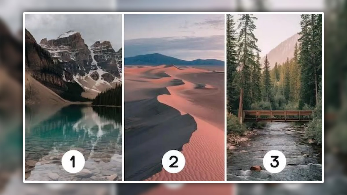 Choisissez l’un de ces paysages et découvrez ce que l’avenir vous réserve
