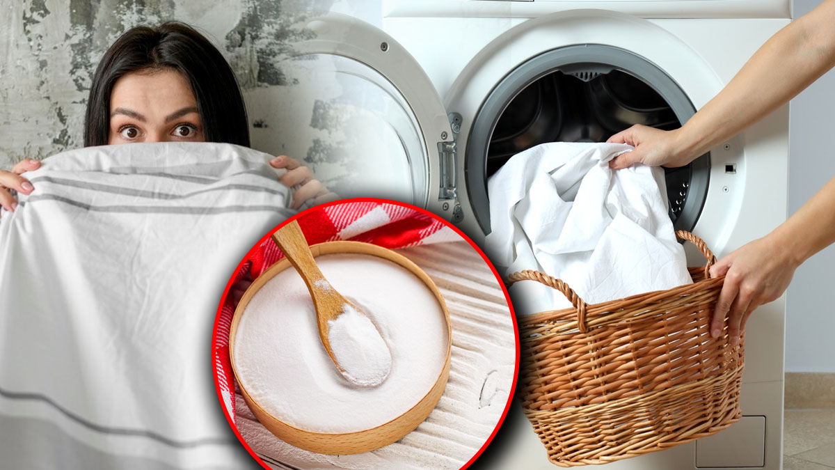 Comment se débarrasser de l’odeur d’humidité des draps : ils reviendront comme neufs !