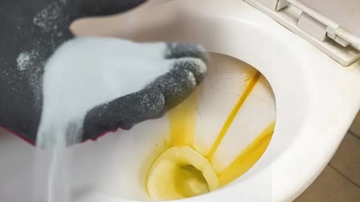 Dites adieu à la saleté tenace des toilettes : le secret se cache dans votre cuisine !