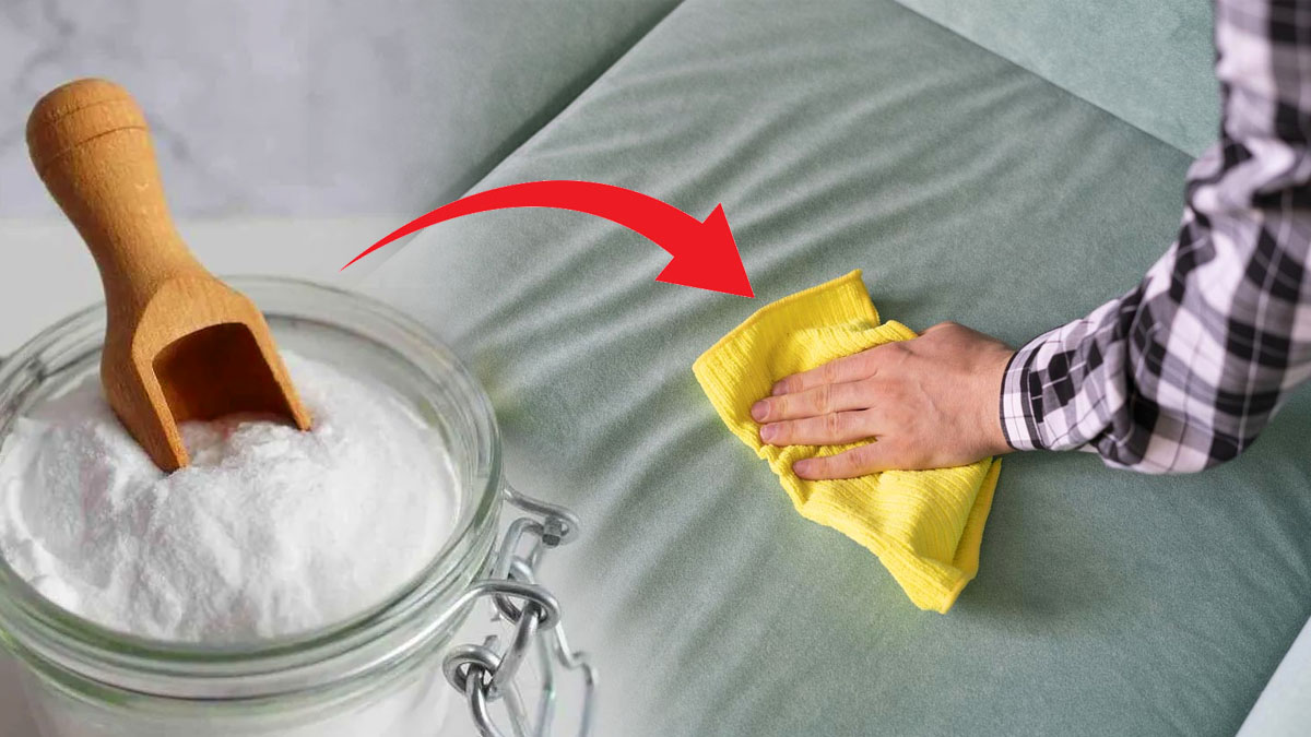 Du bicarbonate de soude sur les meubles : la méthode infaillible que vous allez adorer !