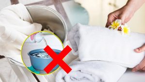 Fini l’eau de Javel : voici le remède naturel pour des serviettes blanches, fraiches et éclatantes !