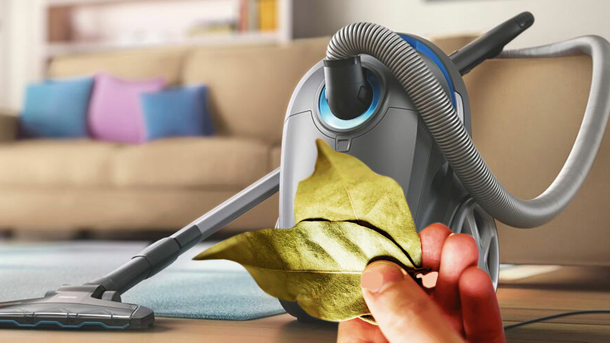 Glissez une feuille de laurier dans l'aspirateur : l'astuce secrète de nos grands-mères !