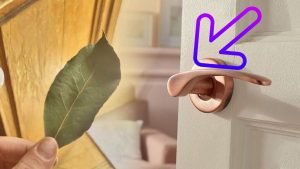 Glissez une feuille de laurier derrière la porte et découvrez ce qui se passe…