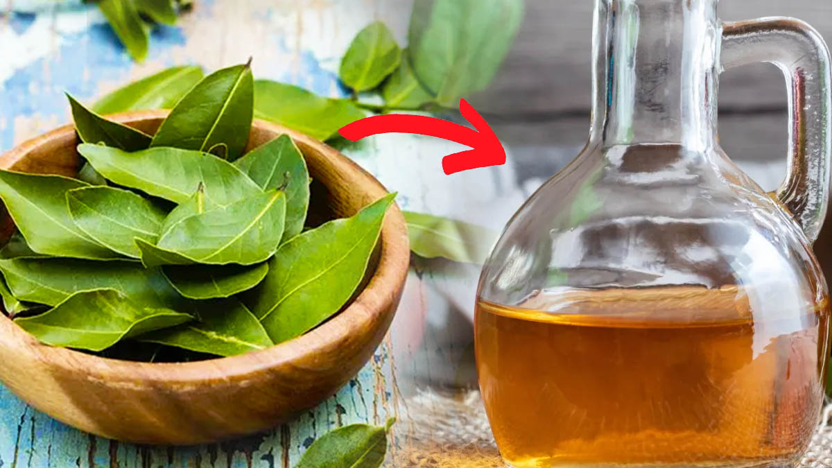 Laurier et vinaigre : ce mélange inattendu va faire des merveilles chez vous !