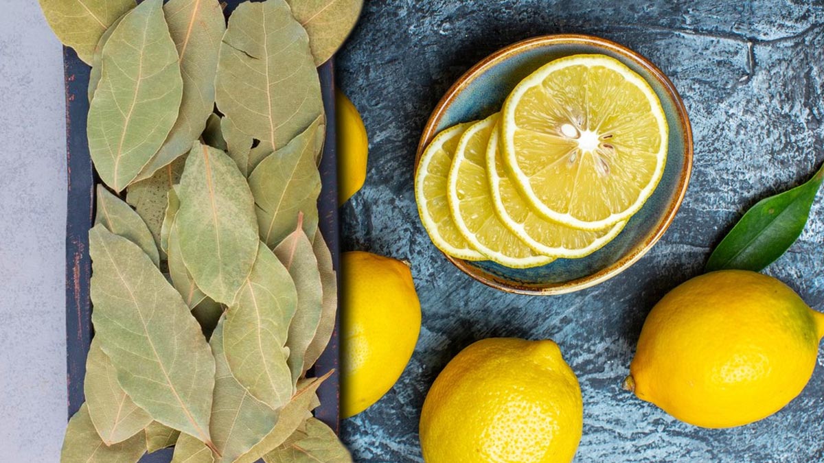 Mélangez les feuilles de laurier et le citron : vous ne pourrez plus vous en passer de ce combo incroyable !