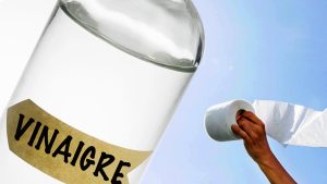 Papier Toilette dans du Vinaigre : La Solution Magique pour Tous Vos Problèmes Ménagers !