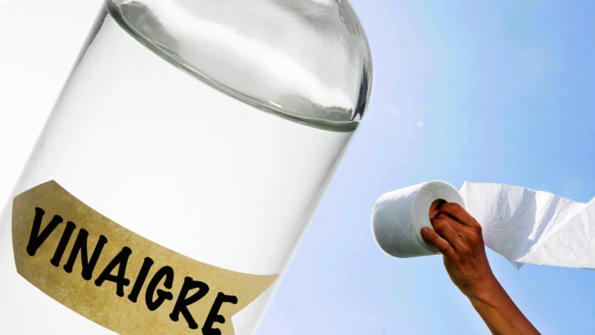 Papier Toilette dans du Vinaigre : La Solution Magique pour Tous Vos Problèmes Ménagers !