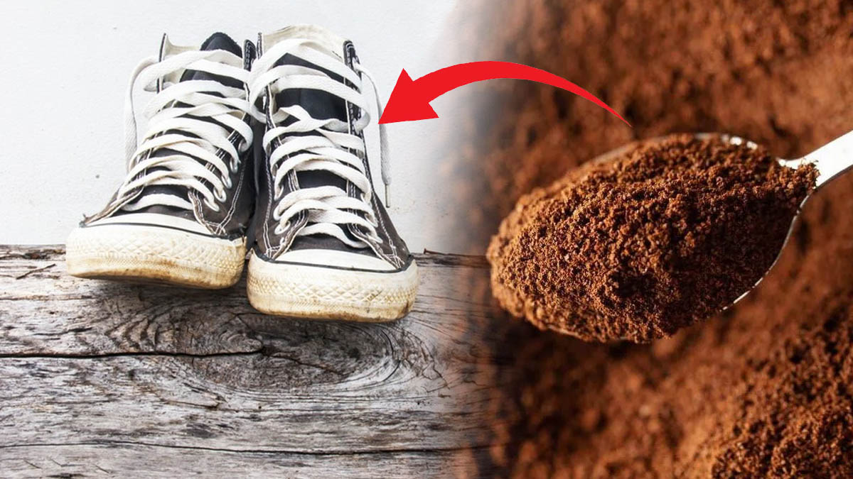 Que se passe-t-il la nuit si vous mettez un peu de marc de café dans vos chaussures ?