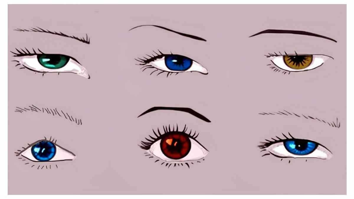Si vos yeux ont cette forme, vous êtes doté(e) d'une volonté de fer et d'un leadership naturel !