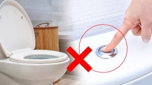 Toilettes : pourquoi fermer le couvercle avant de tirer la chasse est un geste crucial à adopter ?