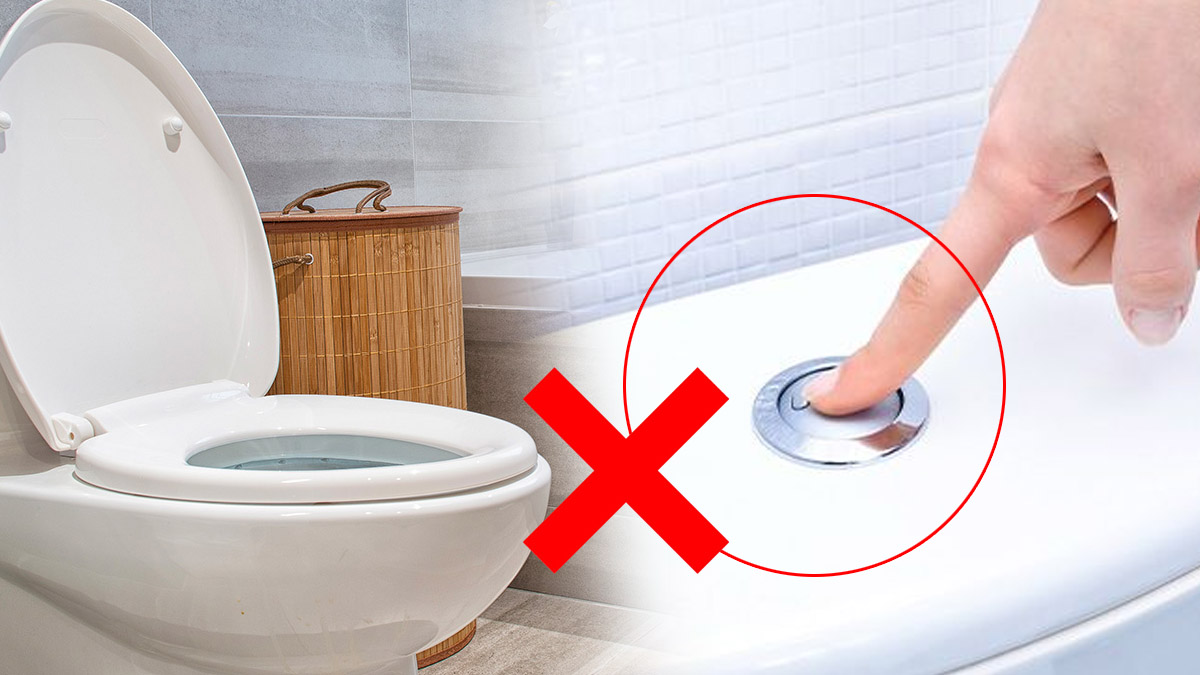 Toilettes : pourquoi fermer le couvercle avant de tirer la chasse est un geste crucial à adopter ?