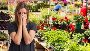 Une enseigne iconique de jardinerie tire sa révérence : elle ferme définitivement l'un de ses magasins