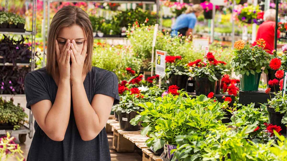 Une enseigne iconique de jardinerie tire sa révérence : elle ferme définitivement l'un de ses magasins