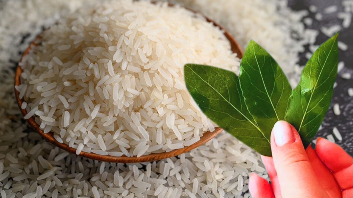Une feuille de laurier dans le riz : l’astuce de grand-mère qui va vous surprendre !