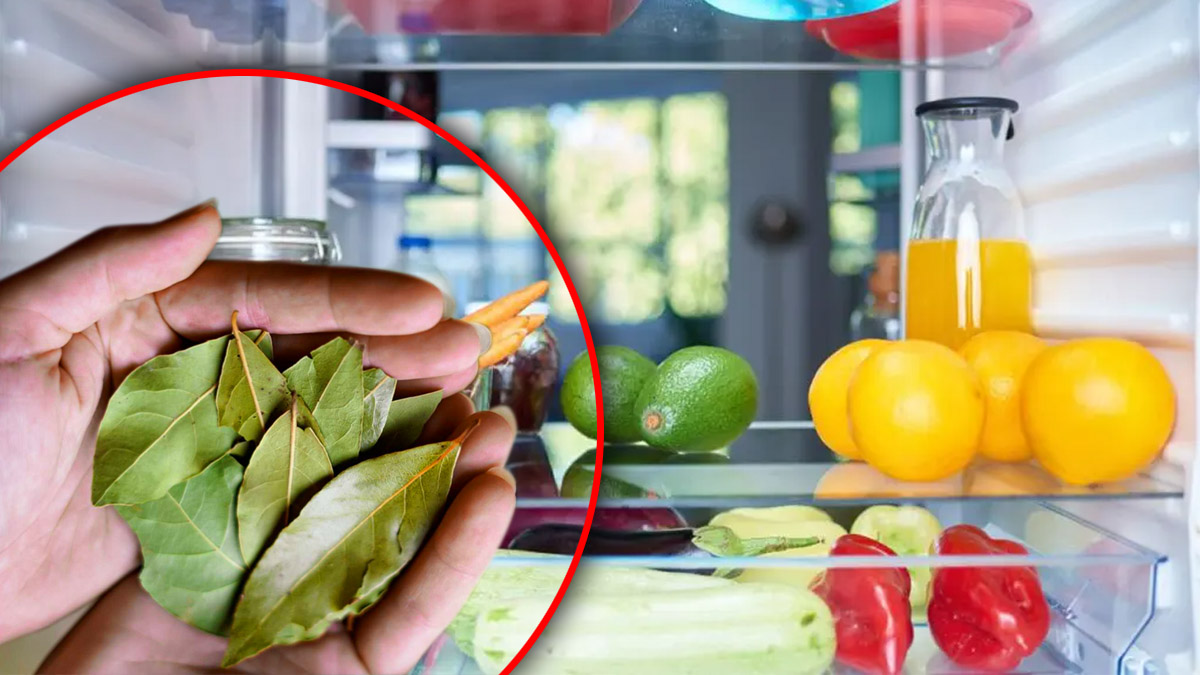 Une simple feuille de laurier dans le frigo toute la nuit... et le lendemain, une agréable surprise vous attend !