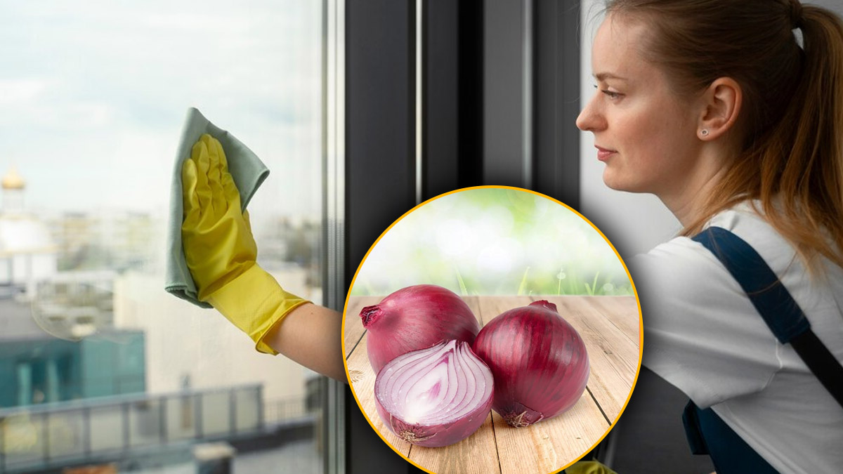 Voici l'allié secret des vitres éclatantes en 1 minute : comment ça marche ?