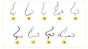 Votre nez en dit long sur vous : êtes-vous plus ambitieux que les autres ?
