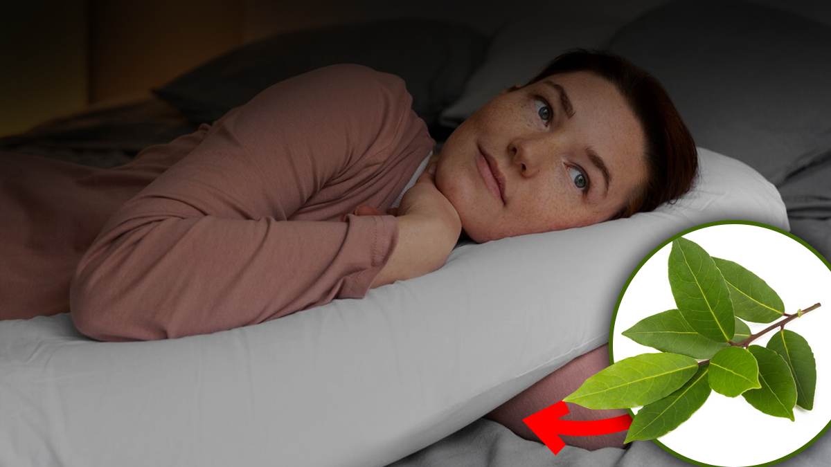 Adieu les insomnies : voici un simple remède au laurier pour des nuits paisibles