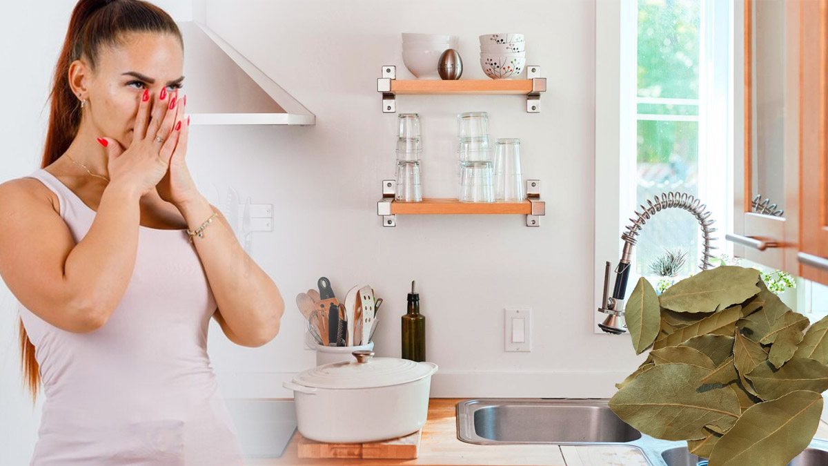 Dites stop aux mauvaises odeurs dans la cuisine : essayez cette astuce maison 100 % naturelle !