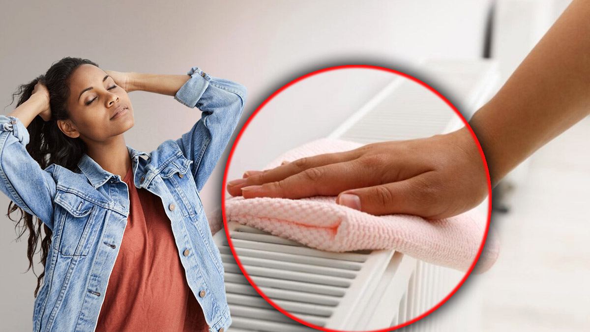 Donnez à votre maison une odeur fraîche en 5 minutes avec cette technique incroyable !