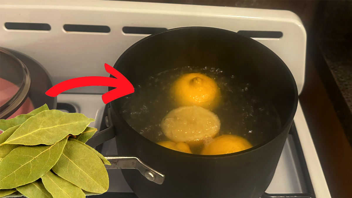 Faites bouillir du citron et des feuilles de laurier : c’est une décoction miracle aux bienfaits insoupçonnés !