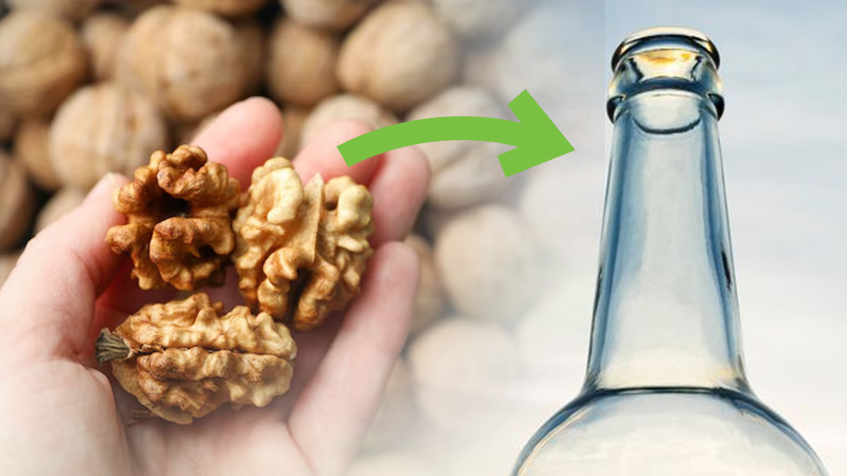 Faites l'expérience de la noix en bouteille pendant une semaine : le résultat va vous épater !