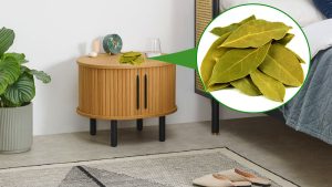 Feuilles de laurier sur la table de chevet : voici ce qui se produit durant la nuit…