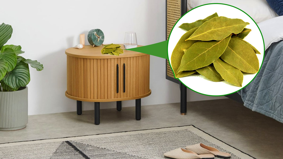 Feuilles de laurier sur la table de chevet : voici ce qui se produit durant la nuit…
