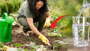 Fruits et légumes à gogo : voici l'ingrédient secret dissimulé dans votre frigo qui booste vos récoltes !