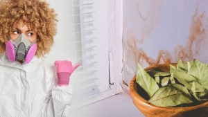 L'astuce miracle pour éradiquer l'odeur de moisi : seulement 3 feuilles !