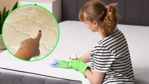 Nettoyer le matelas et dire adieu aux acariens : cet ingrédient à portée de main peut faire des miracles !