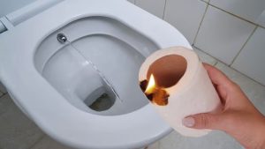 Pourquoi certaines personnes brûlent-elles des rouleaux de papier toilette dans leur salle de bain ?