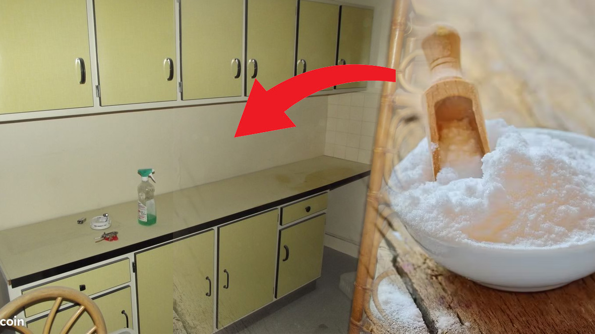 Pourquoi de plus en plus de gens mettent du bicarbonate de soude dans leur placard ?