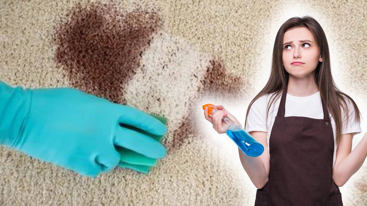 Tapis remplis de taches : avec cet ingrédient pas cher, ils redeviennent nickel !