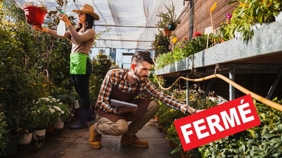 Une page se tourne pour cette célèbre enseigne de jardinage : elle met la clé sous la porte